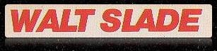 wsnylog